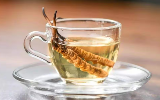一瓶酒泡多少冬蟲夏草？科學搭配有講究