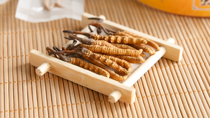 這些藥材形似冬蟲(chóng)夏草，辨別要點(diǎn)需牢記