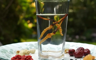 冬蟲夏草能空腹泡水喝嗎？不同人群需區(qū)別對(duì)待