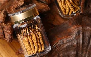 鮮冬蟲夏草泡水后怎么保存？3 種場景保存方法 + 避坑指南