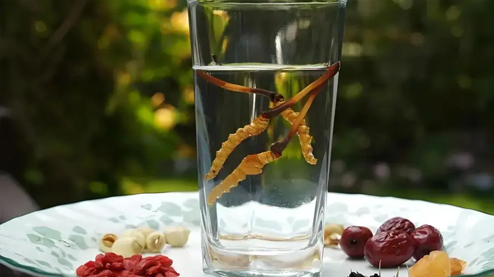 人參配蟲(chóng)草泡酒，泡多久才好喝 