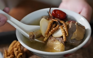 冬蟲夏草和什么一起燉可以治咳嗽？