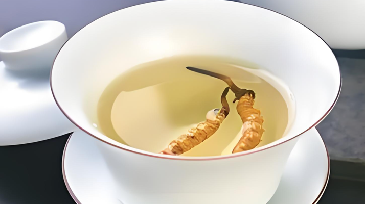 鮮冬蟲夏草可以煮水喝嗎？有什么功效和作用？