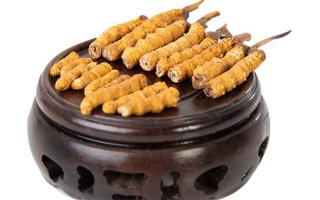 冬蟲夏草的頭期斷草好嗎？有沒有營養(yǎng)價值？