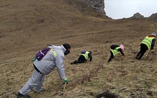 非法采挖蟲草的常見誤區(qū)、合規(guī)清單、采集證辦理流程與價(jià)值鑒定要點(diǎn)