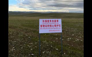 高原之上，蟲草共生；守護生態(tài)，東強堂與你同行