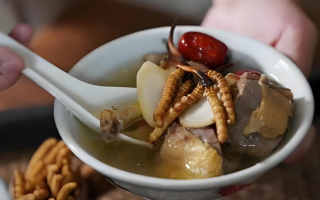  冬蟲夏草和什么食材搭配煲湯比較好？