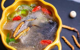 那曲冬蟲夏草辨別全指南｜教你避開市場(chǎng)陷阱，認(rèn)準(zhǔn)正宗珍品